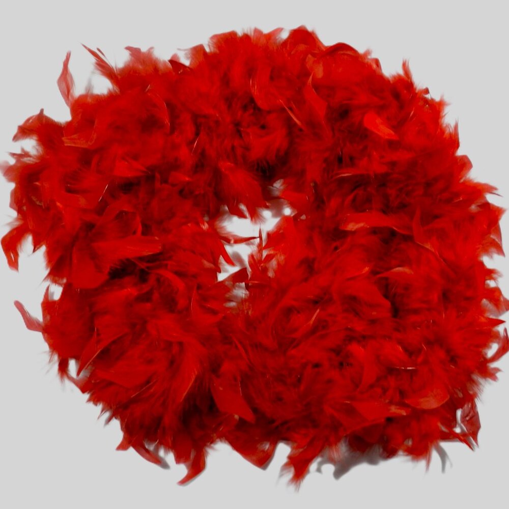 Red Feather Boa